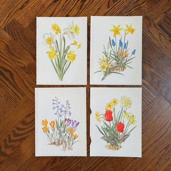 Vintage French Flower Prints Set 3 - Picture 1 of 5
